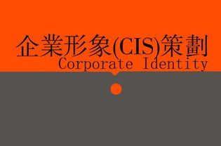 廣告、營銷、品牌與企業(yè)策劃 戰(zhàn)略協(xié)同下的廣告設(shè)計(jì)核心