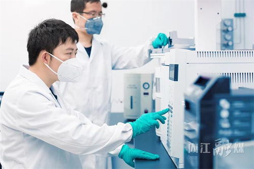 甜城舌尖守護者——解碼內江食品藥品安全與檢驗檢測服務